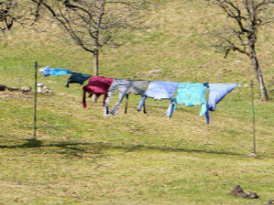 빨래 말리는 꿈 해몽