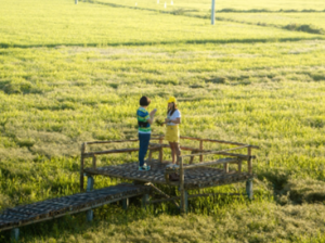 오랜만에 친구 만나는 꿈 해몽