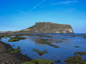 제주도 가는 꿈 해몽