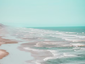 붕어빵 꿈 해몽