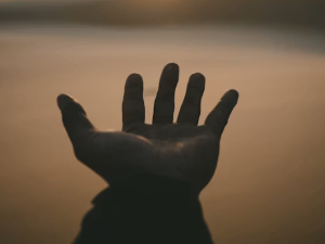 손 꿈 해몽