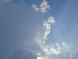 죽은 사람 살리는 꿈 해몽
