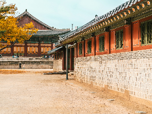 집에서 잔치 하는 꿈 해몽